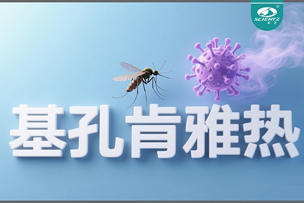 基孔肯雅热疫情升级！新芝生物硬核技术助力病毒精准诊断